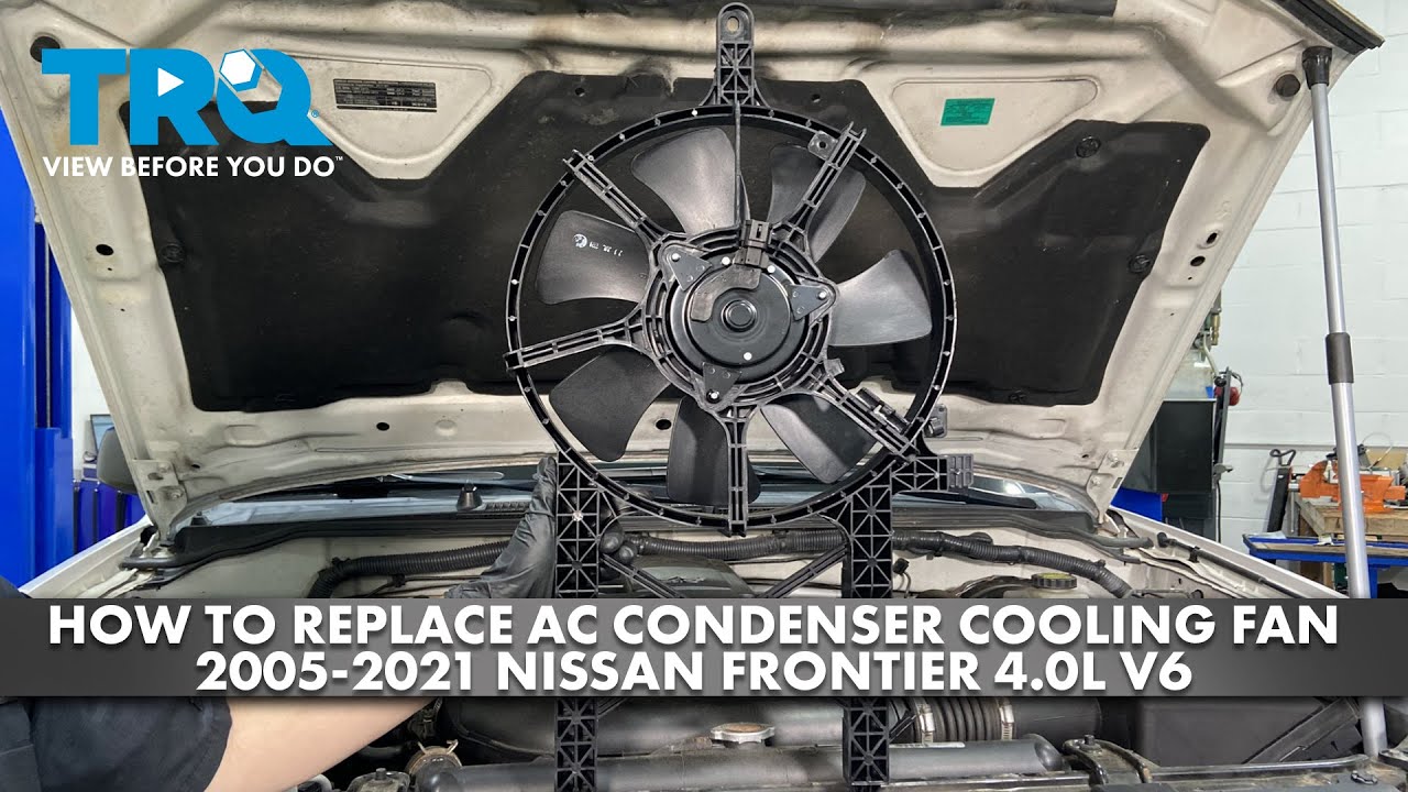 youtube placeholder image